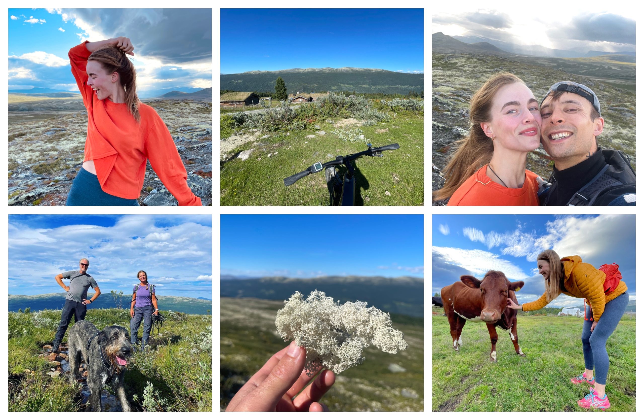 Photo collage of hiking in the Heidal area