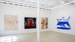 Installation view, Robert Nava