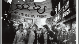 Stonewall Riots Diana Davies