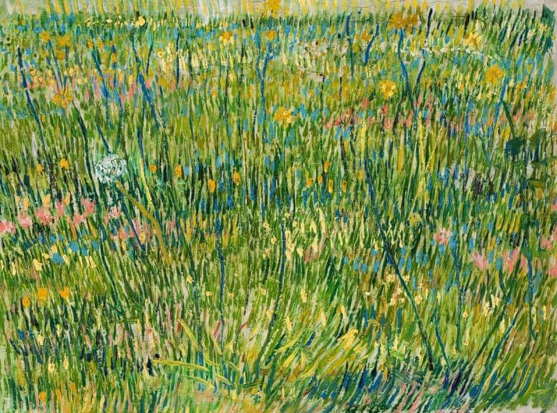 Van Gogh Patch of Grass 