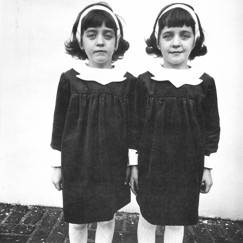 Diane Arbus Identical Twins