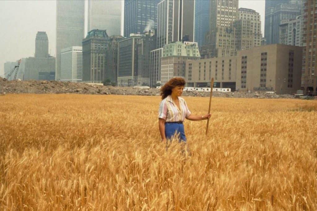 Agnes Denes, Wheatfield – A Confrontation, 1982