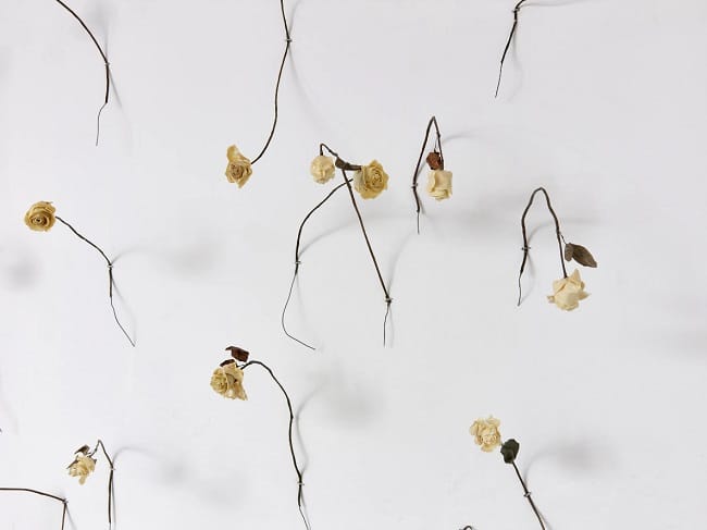 Sari Koski-Vähälä, Thought of Beauty from the series Rosario, 2019