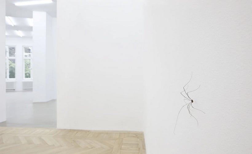 C. C. Spider by Pierre Huyghe at Esther Schipper gallery as part of the exhibition 'Influants'