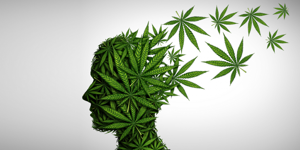 cannabis-use-and-mental-health-l-1024×512-685226753