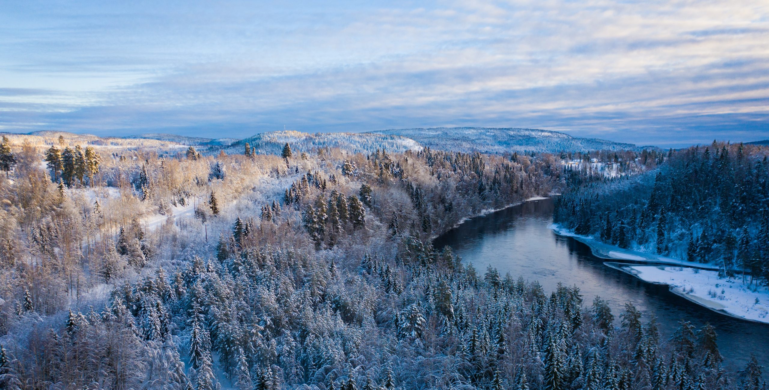 Målarfirma i Jämtland