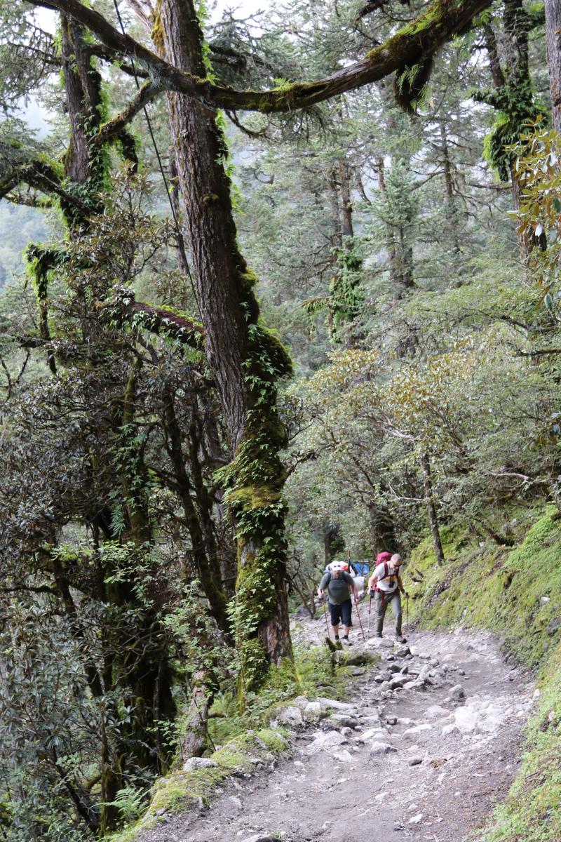 Trekking dag 2: To Bimthang