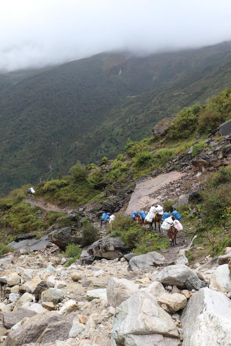 Trektocht tot aan basecamp