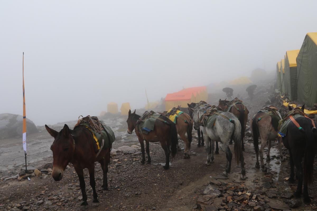 Trektocht tot aan basecamp