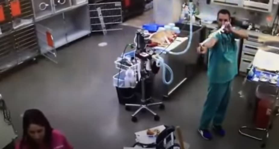Dokter wil handschoen naar verpleegster schieten, eindigt bijna zelf op operatietafel 3 handschoen