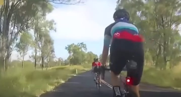 kangoeroe