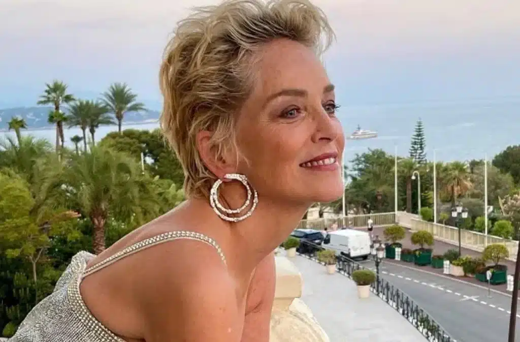 Sharon Stone (65!) maakt haar status van sekssymbool uit de jaren 90 nog steeds waar (foto's) 3 https s3 newsifier 2023 07 14t202238669 64b1947230aa3 656858fdaadfb
