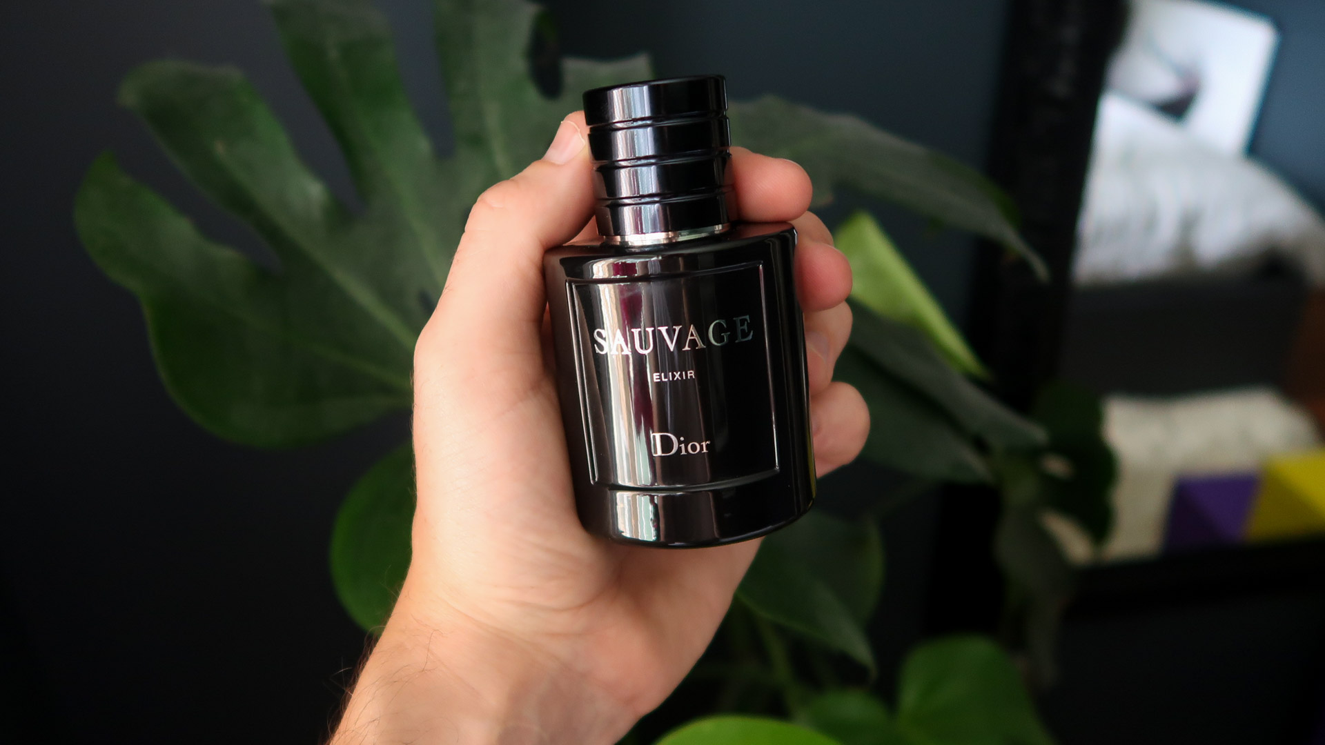 Dior Sauvage Elixir Review Man For Himself