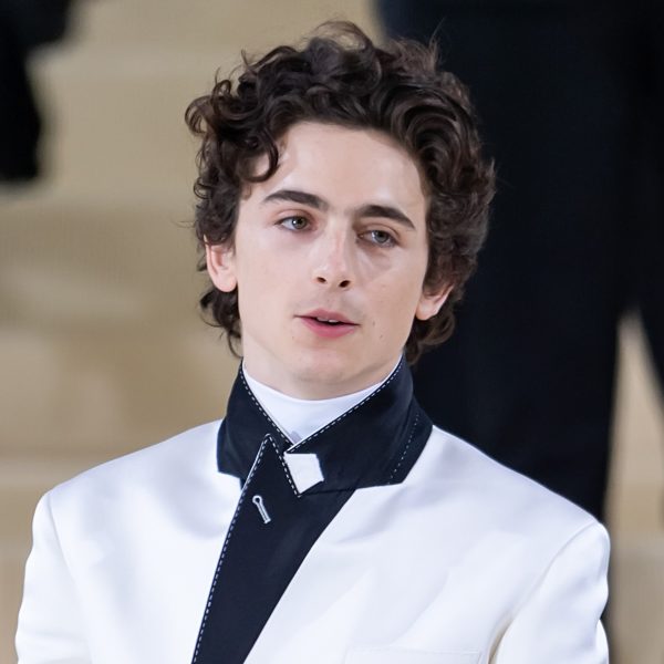 Timothee Chalamet Met Gala 2021 Hairstyle