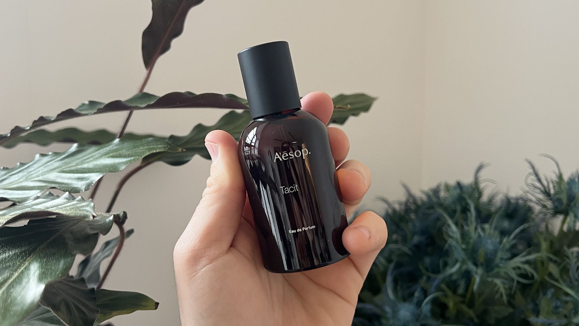 aesop-tacit-review-man-for-himself-hero.jpg