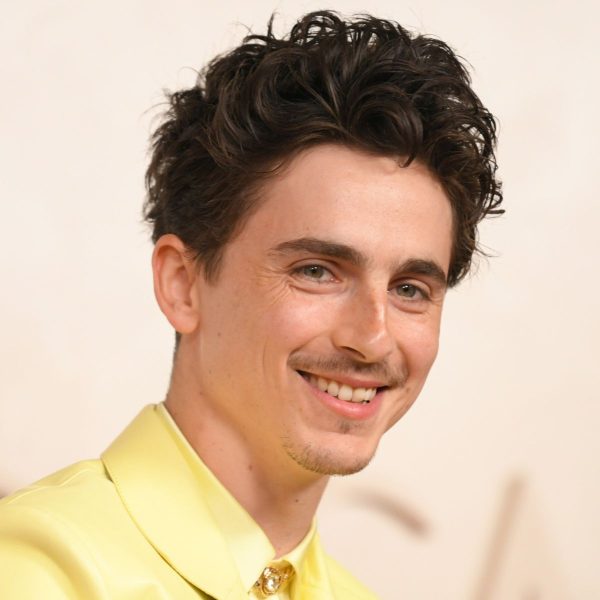 Timothee Chalamet’s Hair: Short Rounded Curly Hairstyle