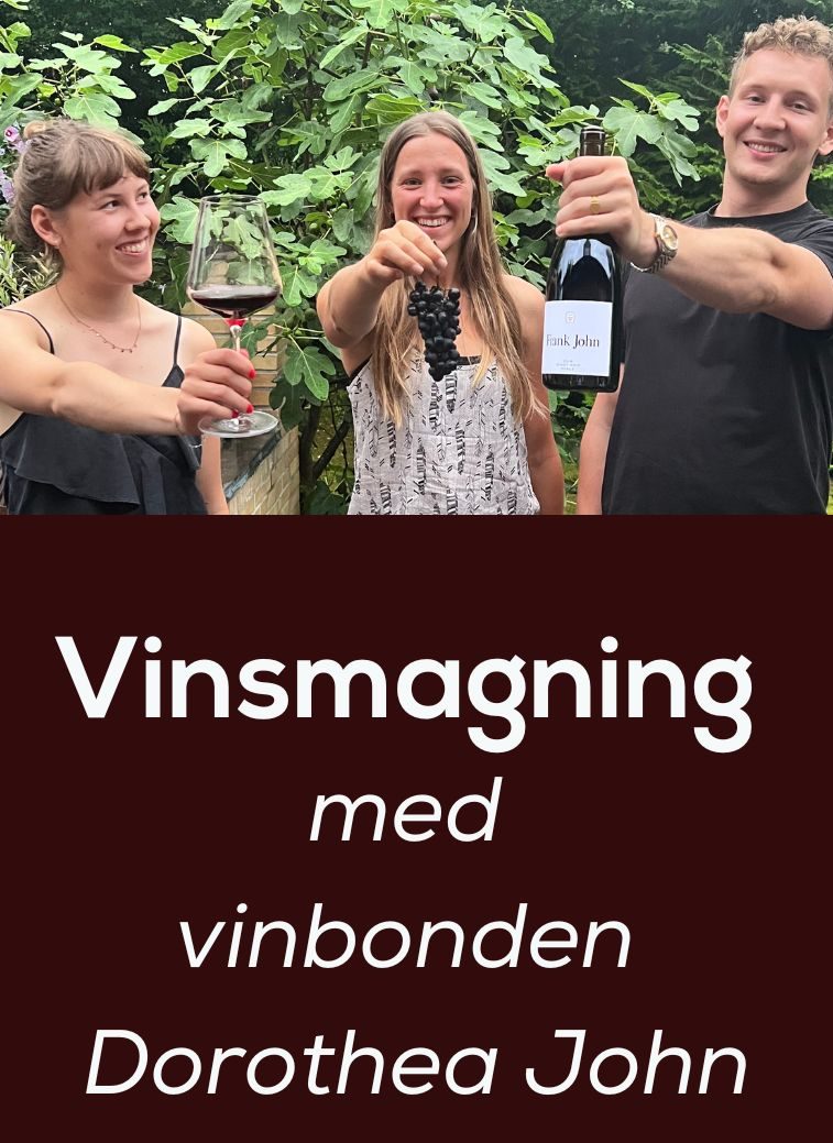 Øverst billede af Solveig og Sebastian Manfred fra Manfred & Co. Nederst tekst hvor der står: Vinsmagning med vinbonden Dorothea John