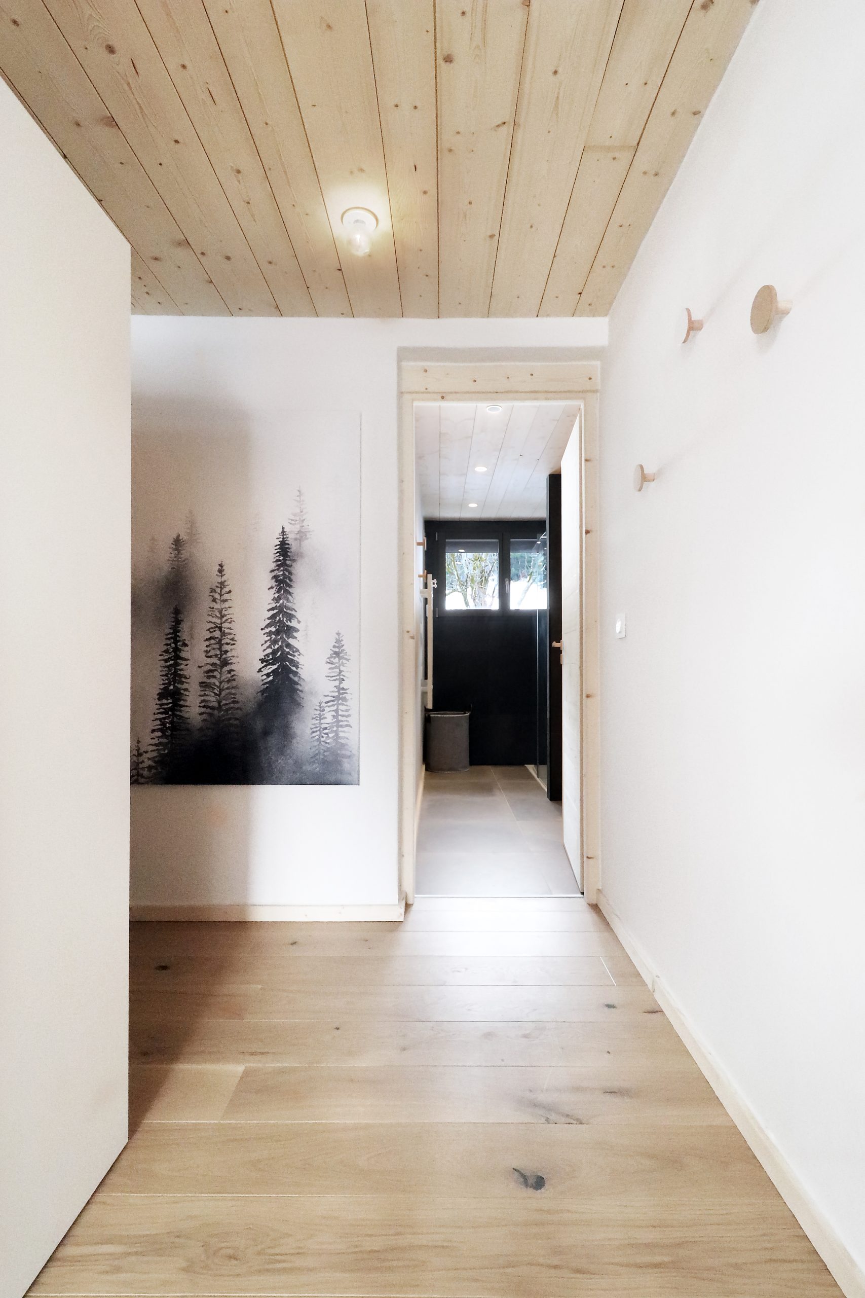 projet pernand entrée lumineuse montagne scandinave couleurs bois moderne