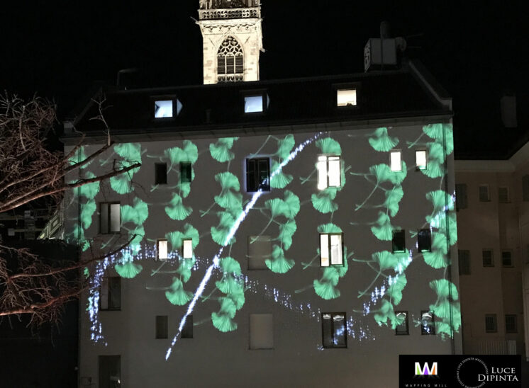 Projection mapping at Palais Campofranco