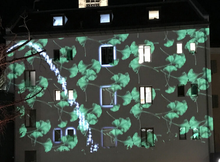 Projection mapping at Palais Campofranco