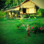 Sasak House, Gili Air