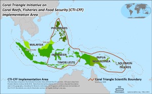 Coral Reef – Cradle of Biodiversity