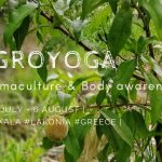 Agroyoga Flyer 2019