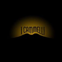 I Cammelli studio Torino