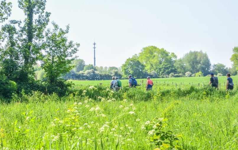 Foto’s van onze Houtwaltocht op zaterdag 20 mei 2023