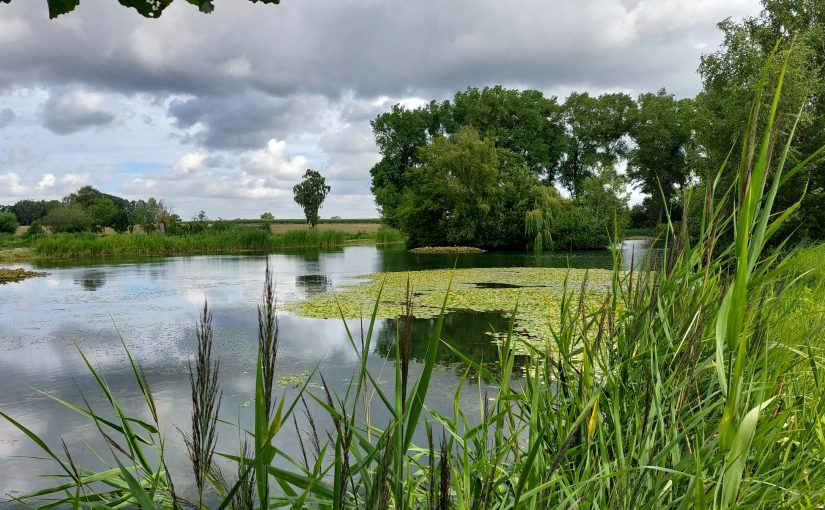 Foto’s en Filmpje van onze Turfhauwetocht op dinsdag 1 aug 2023