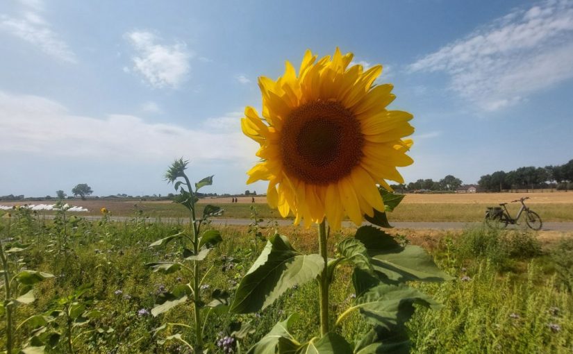 Foto’s van onze Turfhauwetocht van di 4 aug 2026