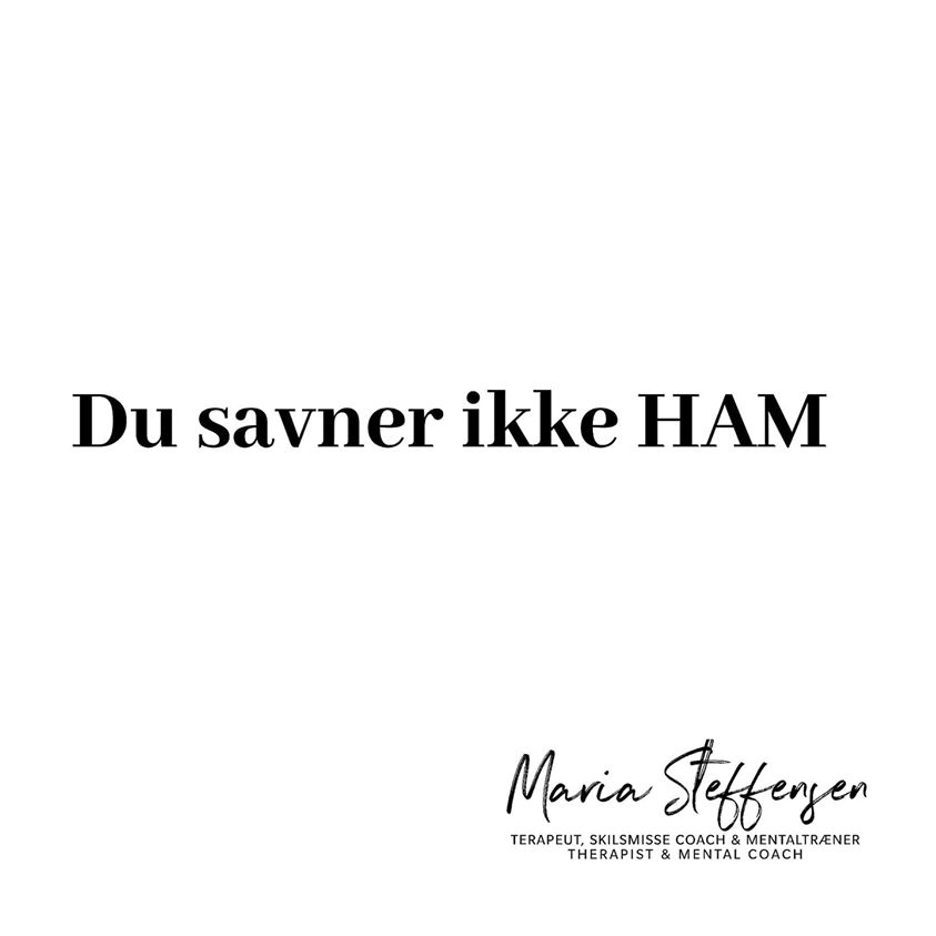 Skilsmisse & du savner ikke HAM