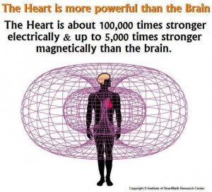Hjertet og dets intelligens