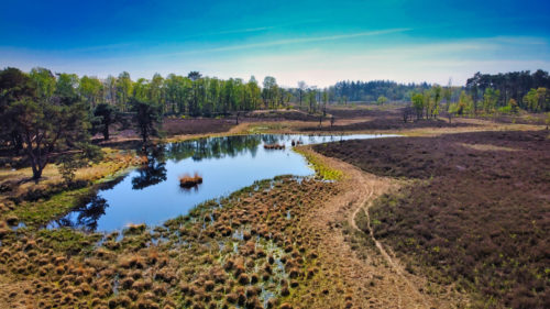 Hatertse Vennen