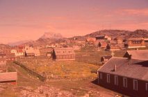 en-blomstrende-kirkegaard-anno-1960