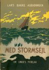 medstormsejl