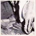 nyt-billede-46