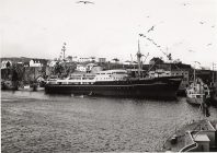 tjaldur001