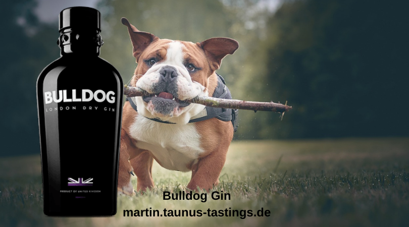 Eine Flasche Bulldog Gin, in Hintergrund eine englische Bulldogge