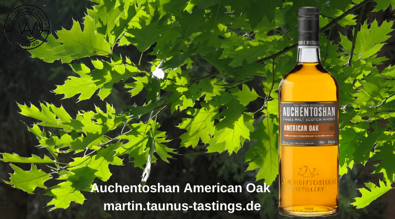 Eine Flasche Auchentoshan American Oak, im Hintergrund eine amerikanische Eiche