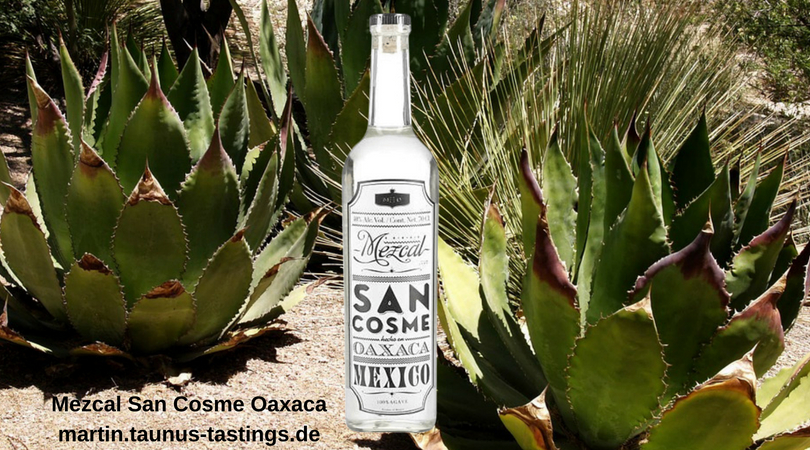 Eine Flasche Mezcal San Cosme Oaxaca, im Hintergrund Agavenpflanzen