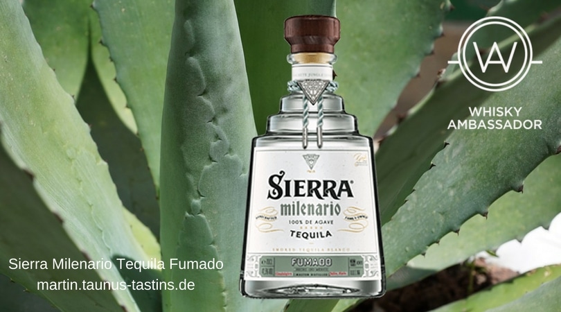 Eine Flasche Sierra Milenario Tequila Fumado, im Hintergrund eine Agaven-Pflanze