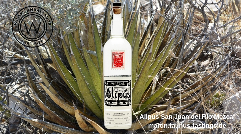 Eine Flasche Alipus San Juan del Rio Mezcal, im Hintergrund eine Agave