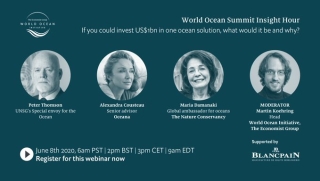 Moderating webinar on ocean investment