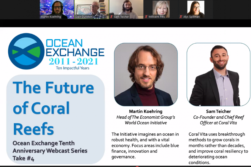 Speaking about coral reefs at Ocean Exchange webinar