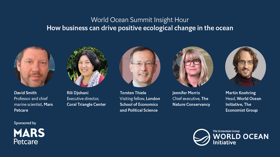 Moderating webinar on business and ocean sustainability