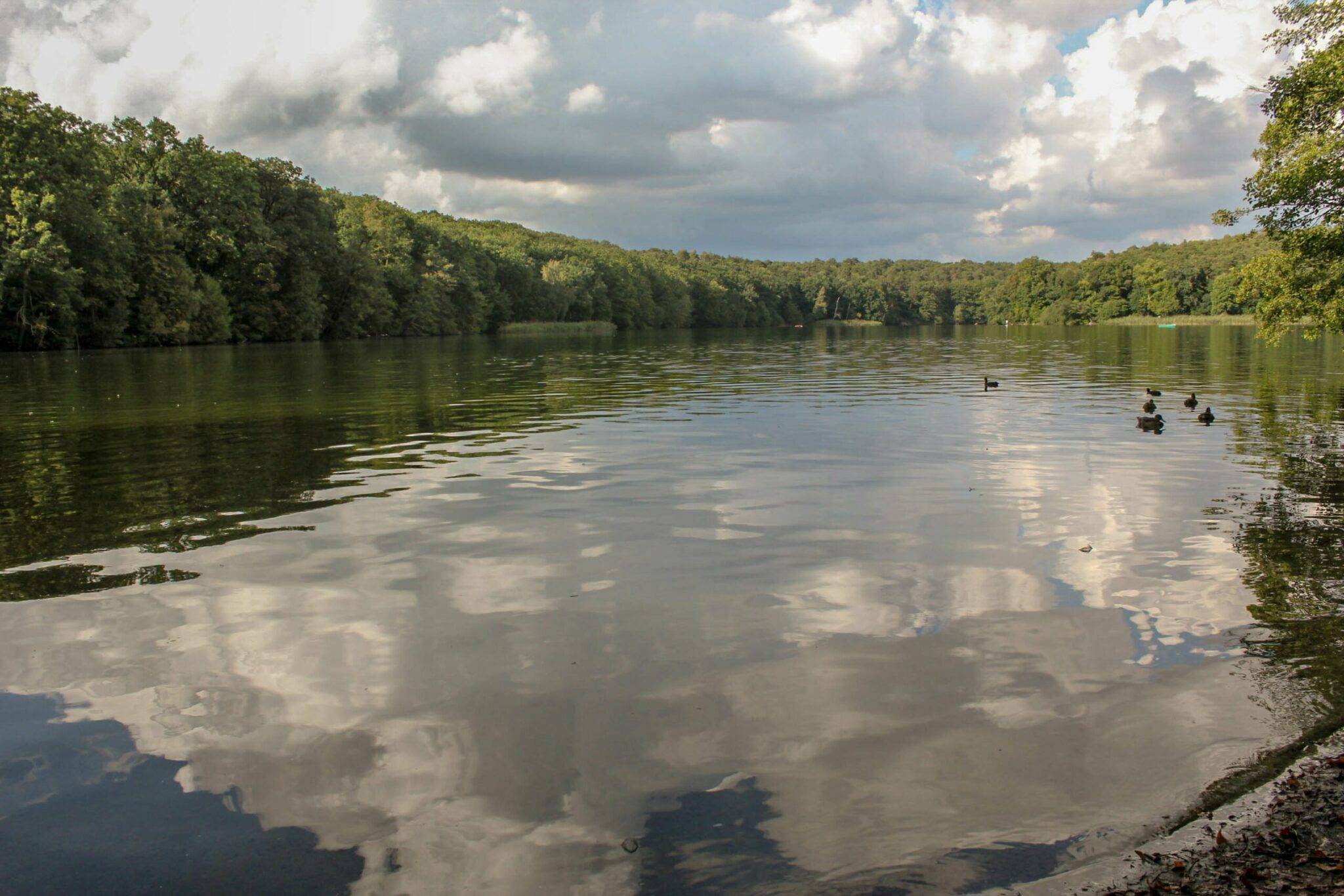 Озеро Шлахтензее — ФОТО / Schlachtensee — Fotos