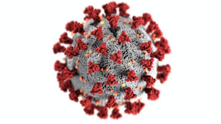 Coronavirus —  21-ci əsrin bəlasımı? Təhlükə dərəcəsi nə qədərdir? Baş verənlərin reallığı nə qədərdir? Nə etməliyik?