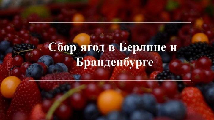 Сбор ягод, фруктов и овощей в Берлине и Бранденбурге самому — Список ферм