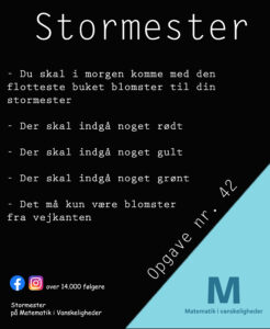 Stormester opgave 42